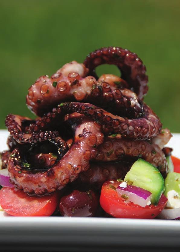 Greek Style Octopus Seafood!