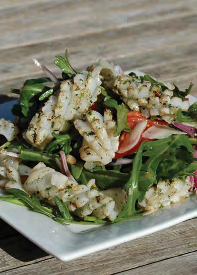 Calamari & Rocket Salad Seafood!