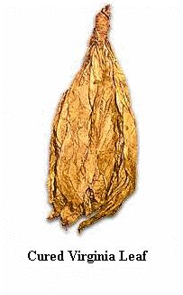 This is shown below for Burley tobacco after harvest, but is undoubtedly similar for other (green) plants.