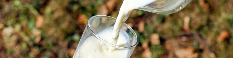 delayed cow s milk allergy and lactose intolerance. As will be explained in the text, these other conditions require a different approach.