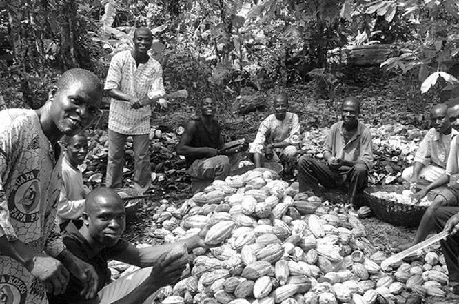 A lot of people think so. Some of these people have set up something called the Fair Trade certification system. It provides a solution for some of the problems with growing cocoa.