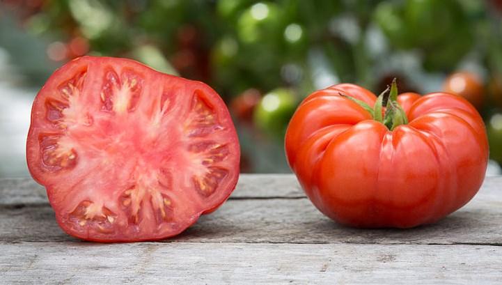 , Fruit: Round, Skin Color: Red, Disease Resistant: tomato yellow leaf curl (TYLCV) virus; Alternaria stem