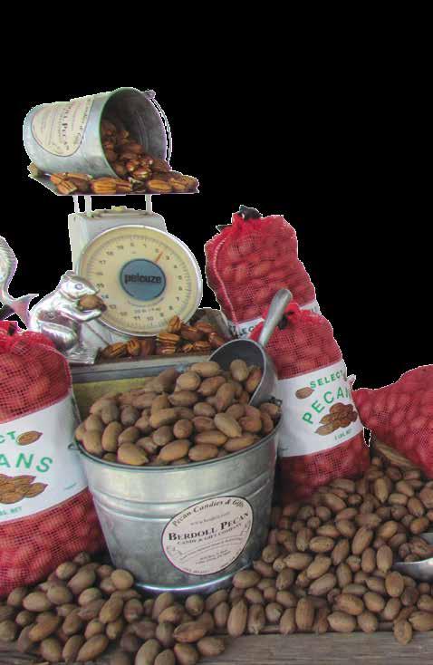 00 Pawnee Pecans Large sized pecans Easy to shell Slightly