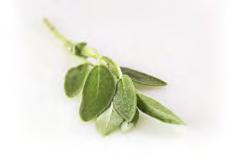 If you do not plan to take the herbs out, you may add the fresh herbs chopped for a rustic styled dish.