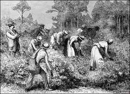 Dependence on Slavery: Even though only a small percentage of the citizens owned slaves, the