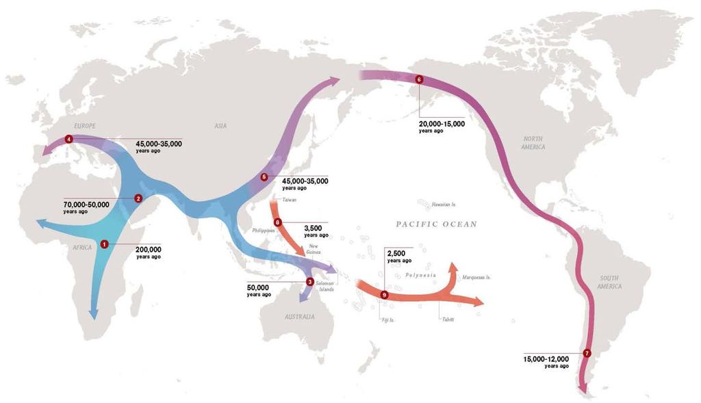 Early human migration to the Americas Migrations are estimated to have occurred at about c. 15,000 B.C.E.