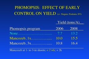 Fig. 47. Effect of a single well-timed Phomopsis spray on yield under high-yield, high disease pressure conditions.