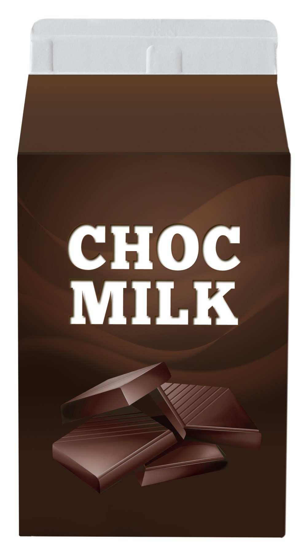 Chocolate milk 600 ml