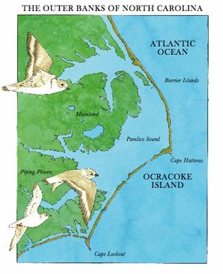 Notice the collection of islands that make up the eastern coast. These islands are called the Outer Banks.