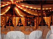 THE GLASSHOUSE The Glasshouse function room includes seating up to 80 people,
