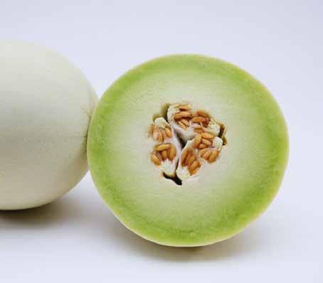 252 HQ F1 Fruit Description: High quality hybrid green flesh Honeydew Round to short oval 6-7 lbs.