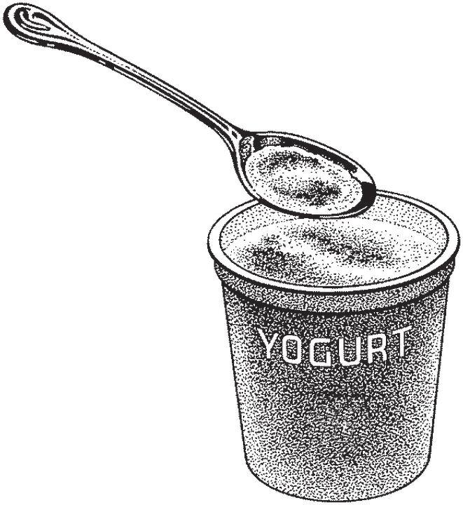 Low-Fat Plain Yogurt