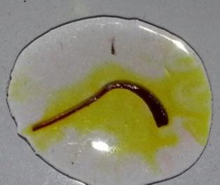 Figure-5 Series of reaction of fake saffron with sulphuric acid Spectroscopy: The saffron samples were examined