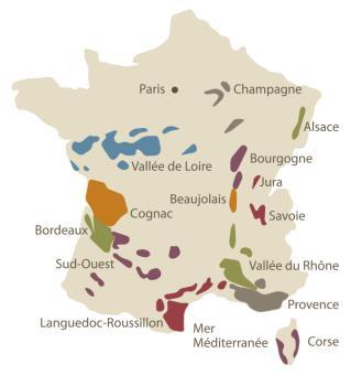 The Wine Prducing Regins in France 10 main wine prducing regins in France