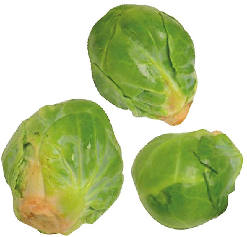 BRUSSELS SPROUTS Great steamed, braised, boiled, or microwaved. Look like little heads of cabbage with a similar but slightly milder flavor and denser texture.