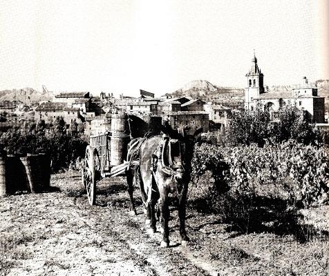 Harvesting with donkeys and carts was commonplace until relatively recently. The high-level cycles were getting shorter and shorter.