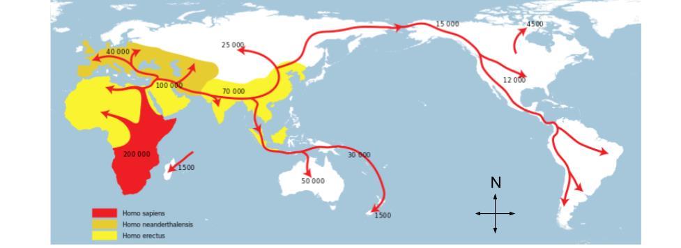 Migration of Humans from Africa to the Rest of the World Directions: Examine the map below, then respond to the prompts that follow.