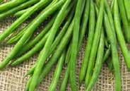 99, 400 g $7.49 114 Slenderette. (53 days) Fleshy, slender, 12 cm (5 ) pods with a glossy green skin and white seeds. Pods are borne well off the ground. Recommended for canning and freezing. Pkt $1.