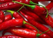 A scoville rating up to 180,000 plus its slightly sweet taste will have you begging for more. Pkt (15 seeds) $1.95, 200 seeds $19.95 2918 Gusto Purple.