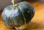 (95 to 100 days) Flattened, globe-shaped squash with vibrant orange-red skin, and bright orange, creamy smooth flesh, with a sweet, nutty flavour. For winter storage and eating raw like carrot sticks.