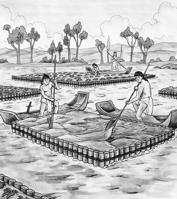 The Aztecs were skilled farmers, but they also traded for many goods.