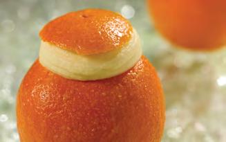 ORANGE RIPIENO Orange sorbetto served in the natural fruit shell. ITEM CODE: 3060 12 Servings/case NET WT.