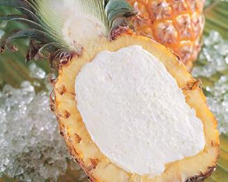 COCONUT RIPIENO Creamy coconut sorbetto served in the natural fruit shell. ITEM CODE: 2013 12 Servings/case NET WT.