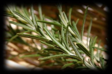 http://www.simplemomentsstick.com/2014/01/honey-rosemary-simple-syrup.