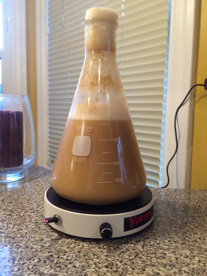 Yeast starters Boil 600 ml cider Add yeast nutrients at the end of the boil ½ tsp Wyeast yeast nutrients Cool down Pitch liquid