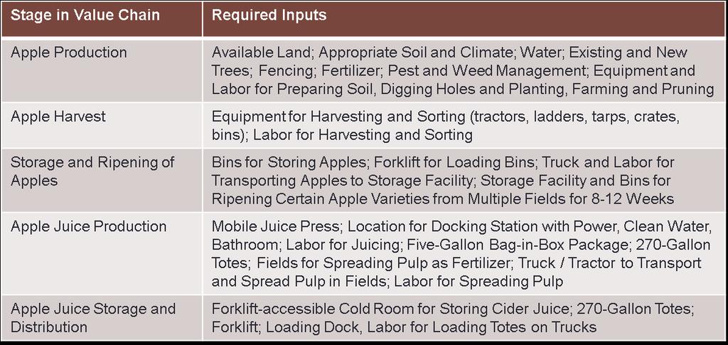 Summary of Key Inputs and Investments Required for Apple Juice Production