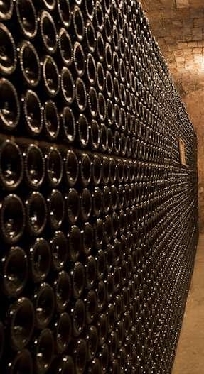 Vendimia CAVA: TRADITION & QUALITY FREE RUN JUICE: To grantees the highest quality, we use 50% to 60% of the grape juice is free run juice. That means that these grapes are naturally pressed.