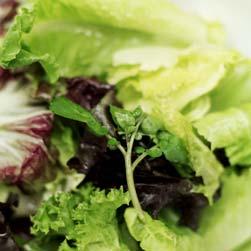 HANDLING LEAFY GREENS SAFELY Although leafy greens are not listed as a poten ally hazardous food in the 2005 Food Code, FDA has added cut leafy greens to the list of food items requiring me and