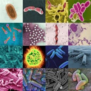 6. Pathogen Signs & Symptoms Virus: Norovirus: Vomiting, diarrhea, nausea, abdominal