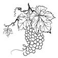 Wine Pinot Noir - Australia & International 150ml/250ml/Bottle Crowded House 2012 Nelson/Marlborough, NZ 12/18/54 Snake & Herring 2015 Great Southern, WA 14/21/60 Ata Rangi Crimsen 2013
