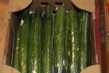 CV ASPARAGUS CV WATERMELONS CV CUCUMBERS Early to Mid-April supply of fresh Asparagus exceeds demand so growers are lowering pricing to help move extra volume.
