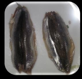 The fresh anchovies are cleaned and prepared the fish by taking its bone (Photo 2) and head off put leaves the tail. Chopped onions are scrubbed with salt and added parsley, red pepper, black pepper.