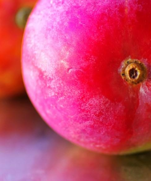 KIWI: Organic Kiwi Fruit out of Italy are steady on 33ct.
