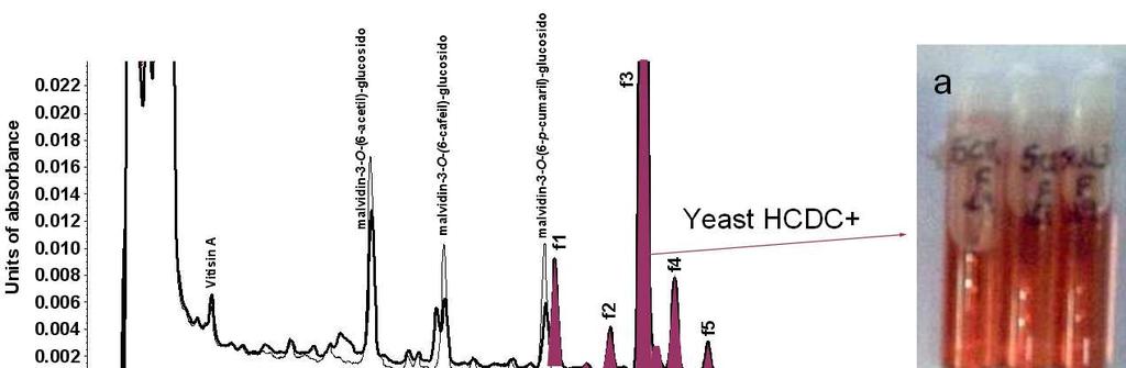 ESULTS AND DISCUSSIN Vinylphenolic pyranoanthocyanin formation using CDC+ yeast strains of Sacch.