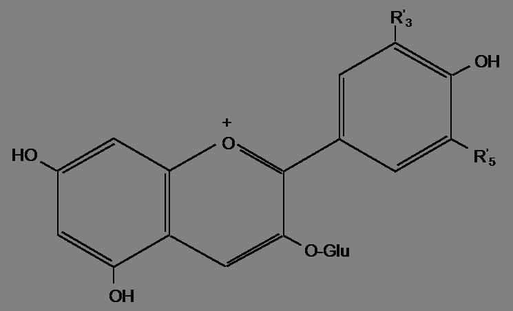 Background phenols in wine Main phenols (flavonoids) in red wine