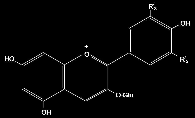catechin, epicatechin, epigallocatechin, epicatechin gallate) Oligomers