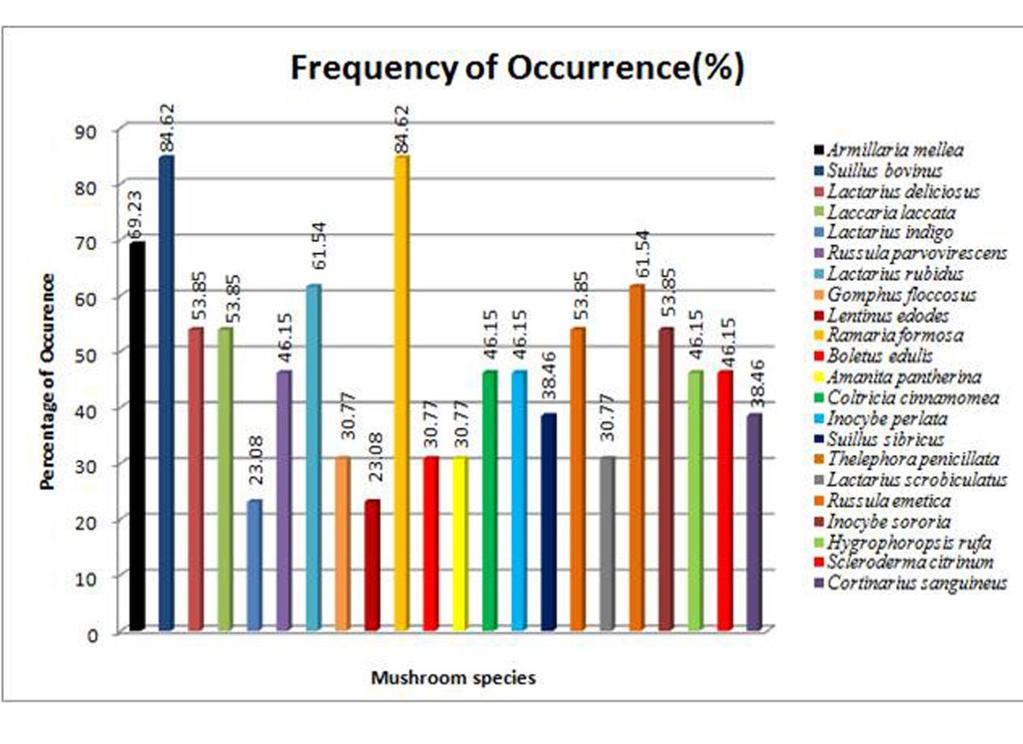 Fig. 1 Frequency of occurrence of mushroom species in Shyrwat Reserve Forest and Upper Shillong Reserve Forest, Meghalaya The macroscopic and microscopic characters of seven identified wild edible