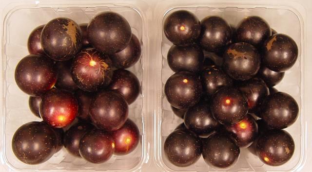 Desirable Traits for a New Muscadine Cultivar 3.