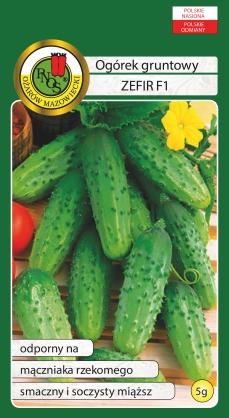 Cucumber Szeryf F1 Earliness: very early High yield potential, especially early yield Dark green, cylindrical shiny fruits.