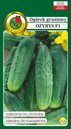 fresh, pickling and preserving Cucumber Ozyrys F1 Excellent variety for processing (preserving and