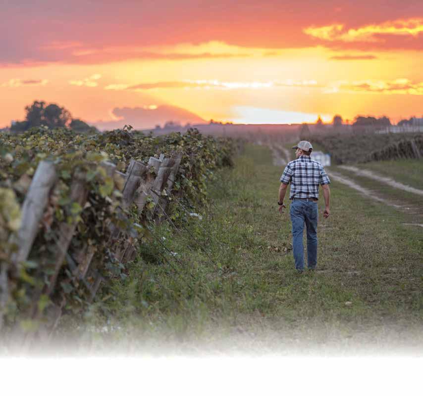Nestled in the Yakima Valley and surrounded by over 350,000 acres of fertile farm land and pristine waterways, Milne is in the middle of one of the world s most abundant agriculture centers that