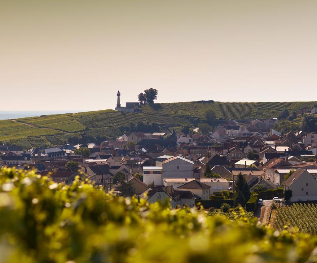 VERZENAY Recognised from Gallo-Roman times, Verzenay is situated on the ridge of the Montagne de Reims, a sub region of Champagne.