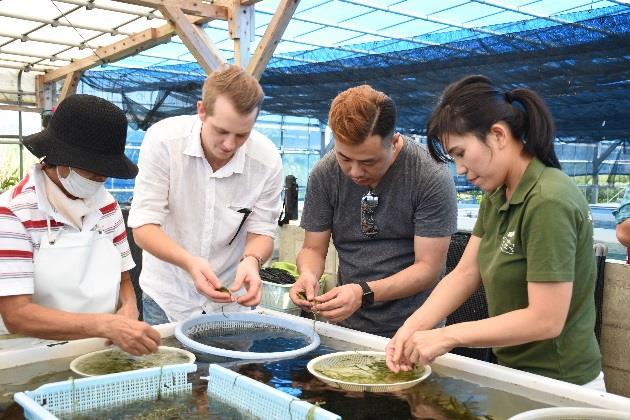 Zero visited various farms and sourced fresh local produce In his search for inspiration, Zero travelled to Okinawa, Japan for a 4-day field trip to learn about the Ryukyu culinary