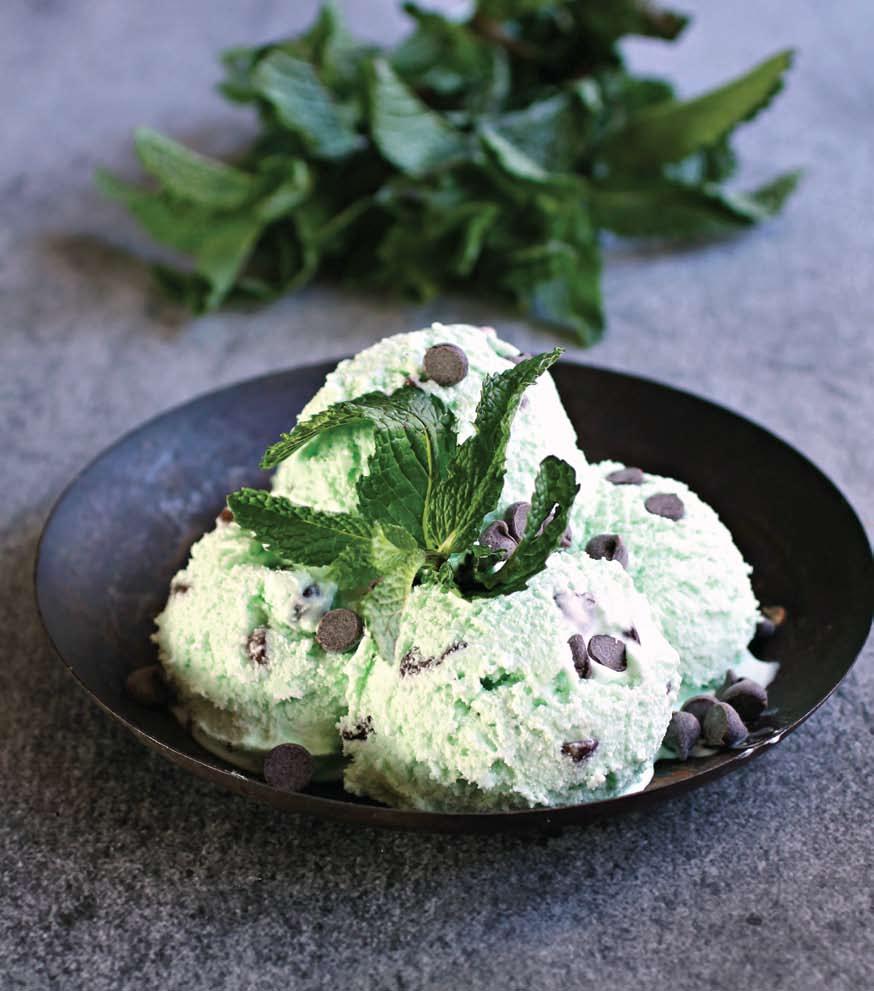 1 TEASPOON VANILLA LARGE HANDFUL OF FRESH MINT 1 CUP SEMI-SWEET CHOCOLATE CHIPS GREEN FOOD COLOR (OPTIONAL) Mint Choco ate Chip Add the cream, milk, sugar, vanilla and salt to a pot over medium low