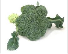 Other Varieties of Broccoli Firm, tightly bunched florets; florets should be dark green, sage green, or even greenish purple; stems should not be too thick or too tough.
