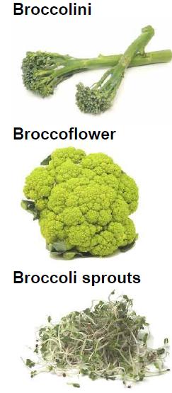 Broccoli is a good source of potassium and vitamin A. Broccoli contains sulforaphane, a phytonutrient that has been shown in some studies to reduce the risk of cancer.